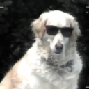 salvadoranprincessa avatar