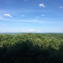 salvageandthrift avatar