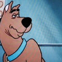 salvagedmagic avatar