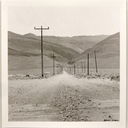 salvathewhale avatar