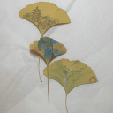 salvecabeswater avatar