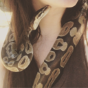 salviasomniferum avatar