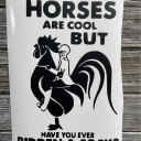 samaelrules2025 avatar