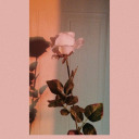 samantha-benkel-blog avatar