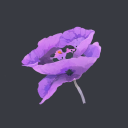 samarityanka-eva avatar