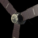 same-pic-of-juno-everyday avatar