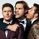 sameanstiel-tfw avatar