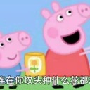 samebeddifferentthoughts avatar