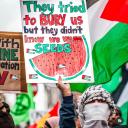 sameerblogs11s avatar