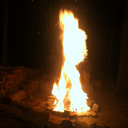 sameowmeow-blog avatar