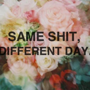 samesht-differentday avatar