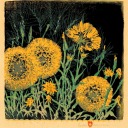 samethingoverandover avatar