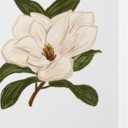 samflowerwritesthings avatar