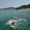 samgoestoconcerts avatar