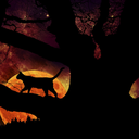 samhainspirit avatar