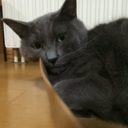 samikomonster-blog avatar