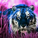 samkamal-blog1 avatar