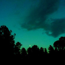 sammy-jones666 avatar