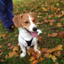 sammy14watson avatar