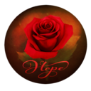 sammyblade1995 avatar