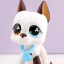 sammydagoat030 avatar