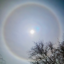 sammylostshoe avatar