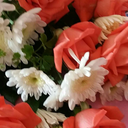 samncait4ever avatar