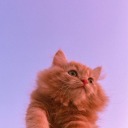 samolubnoscv2 avatar