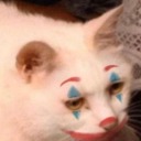 samtherandomperson avatar