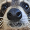 samthesciencekid avatar