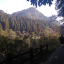 samthesciwitch avatar