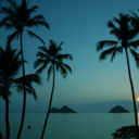 samudra11-blog-blog avatar