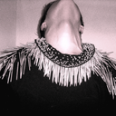 samueljchester avatar