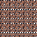 samuraifortuna avatar