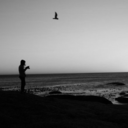 san-fran-cisco-blog avatar