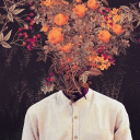 sanaanlatirgibi avatar