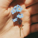 sanandodeapoco avatar