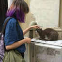 sananeurlmden avatar