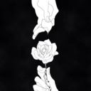 sanctuary-of-stars avatar