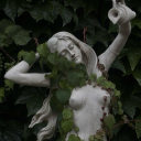 sanctumsrefugee avatar