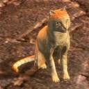 sandcoloredcat avatar
