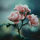 sandimelo-blog avatar