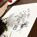 sandis-lil-chellby avatar