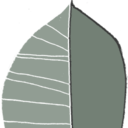 sandracaleffi avatar