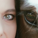 sandrasknipserei avatar