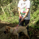 sandrosilva15 avatar