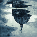 sandwich-company avatar