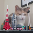 sandwolf19960 avatar