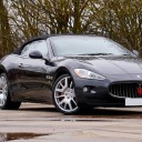 sandythemammoth avatar