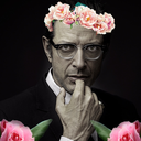 sandyyeahyeah avatar